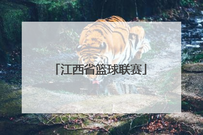 「江西省篮球联赛」江西省篮球联赛赣州队名单