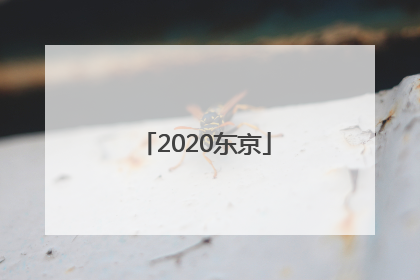「2020东京」2020东京奥运会羽毛球
